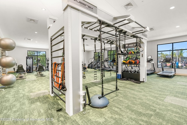 gym with plenty of natural light and carpet