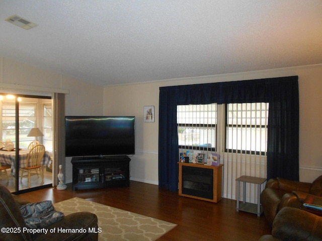 living room featuring vaulted ceiling and dark hardwood / wood-style floors