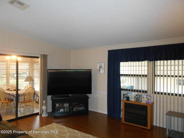 living room with lofted ceiling and dark hardwood / wood-style flooring