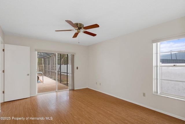 unfurnished room featuring ceiling fan and wood-type flooring