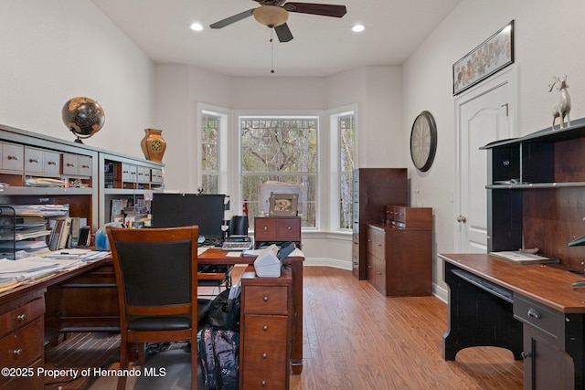 home office with ceiling fan and light hardwood / wood-style flooring