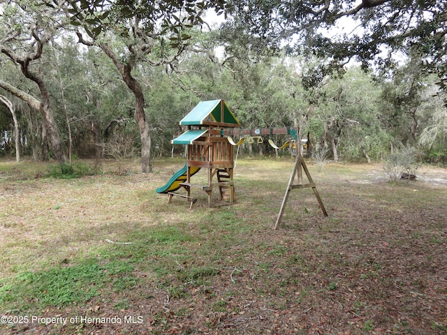 view of jungle gym