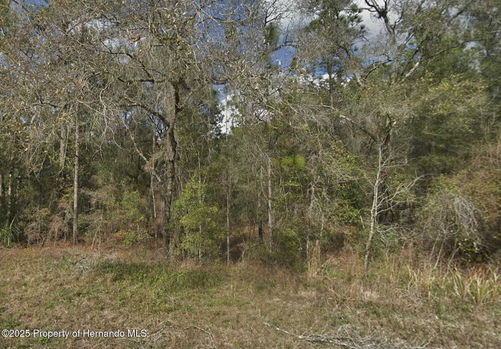 0 Ricebird, Weeki Wachee, FL 34614 - photo 2