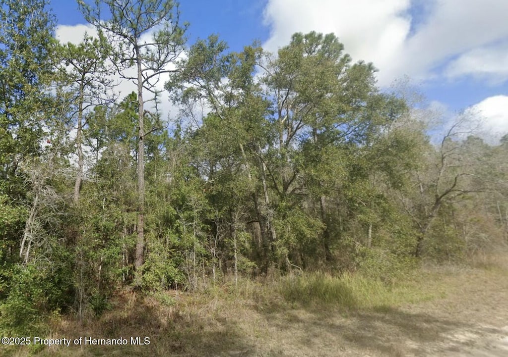 0 Ricebird, Weeki Wachee, FL 34614 - photo 4