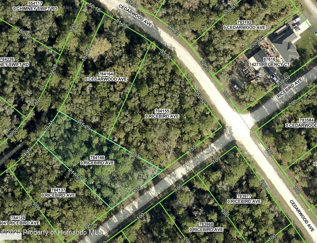 0 Ricebird, Weeki Wachee, FL 34614 - photo 1