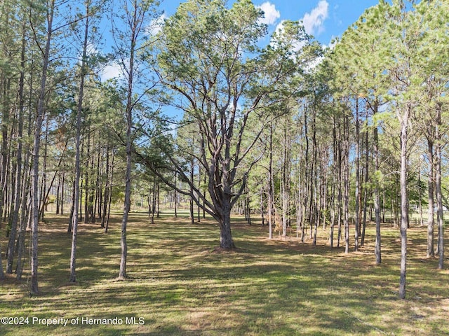 23051 Lake Lindsey Rd, Brooksville, FL 34601 - photo 34