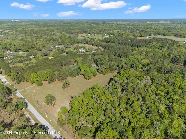 23051 Lake Lindsey Rd, Brooksville, FL 34601 - photo 48