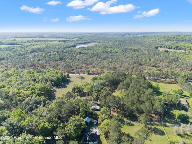 23051 Lake Lindsey Rd, Brooksville, FL 34601 - photo 50