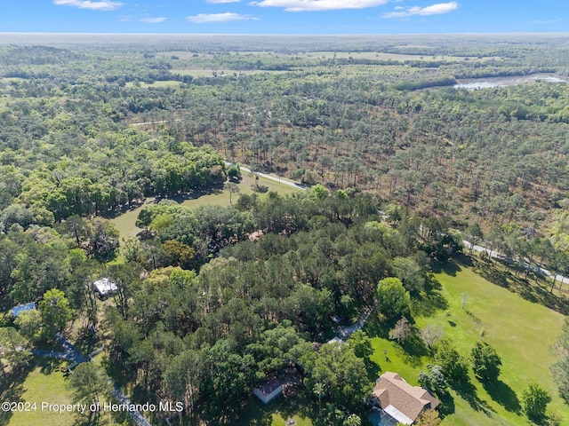 23051 Lake Lindsey Rd, Brooksville, FL 34601 - photo 51