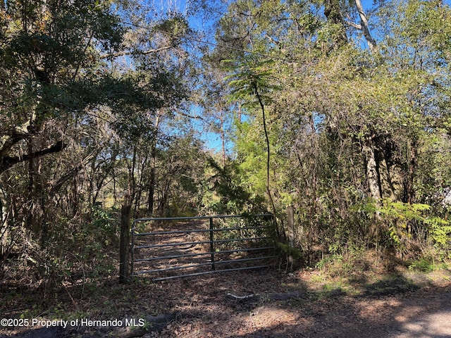 1.98ACRES Sawdust Ln, Brooksville FL, 34601 land for sale