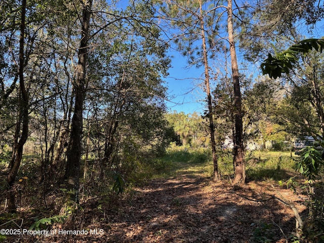 Listing photo 3 for 1.98ACRES Sawdust Ln, Brooksville FL 34601