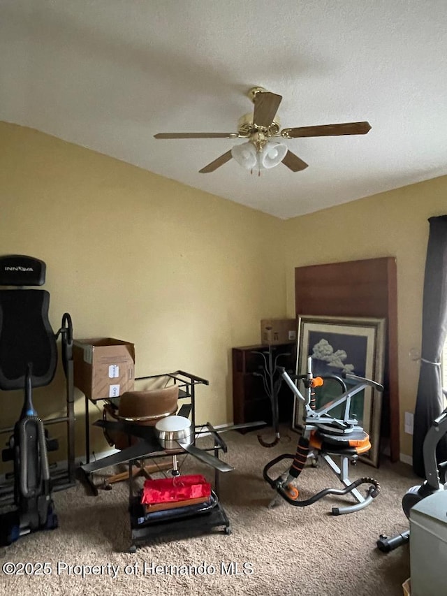 workout room with ceiling fan and carpet flooring