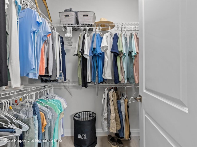 view of spacious closet