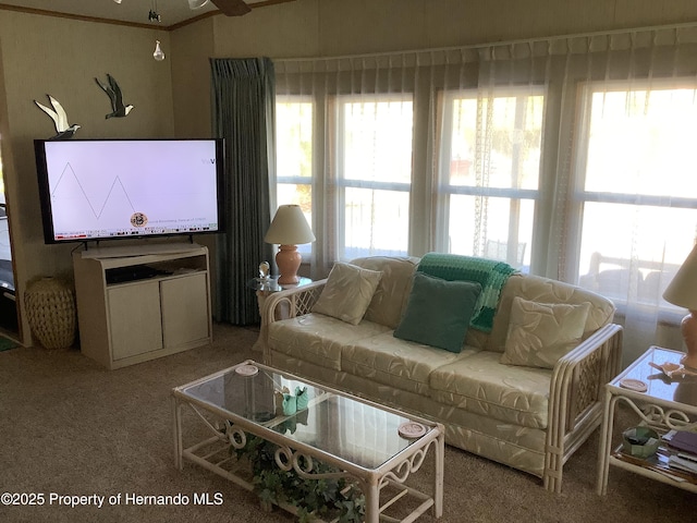 view of carpeted living room