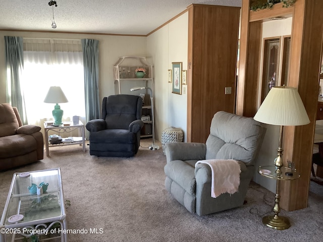 carpeted living room featuring a textured ceiling