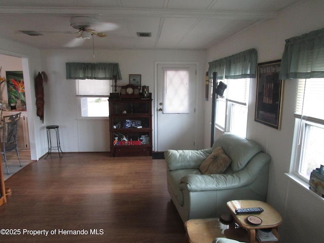 living room with ceiling fan, a healthy amount of sunlight, and hardwood / wood-style flooring