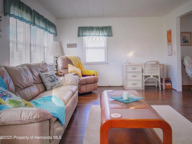 living room featuring dark hardwood / wood-style flooring