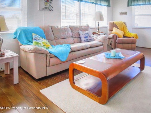 living room with wood-type flooring