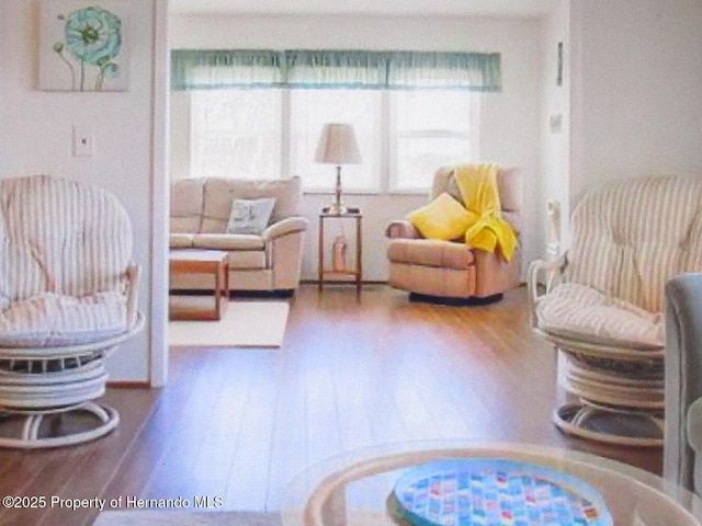 living area featuring wood-type flooring