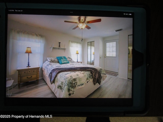 bedroom featuring ceiling fan and light wood-type flooring