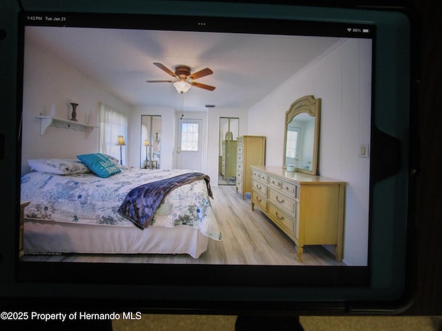 bedroom with ceiling fan and light hardwood / wood-style floors