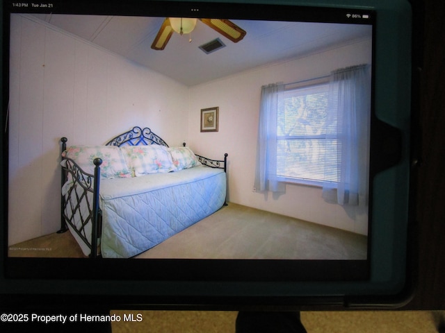 carpeted bedroom with ceiling fan