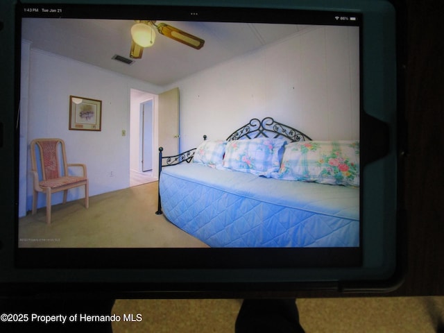 bedroom with ceiling fan