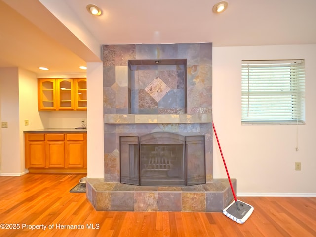 room details with a tile fireplace and hardwood / wood-style floors