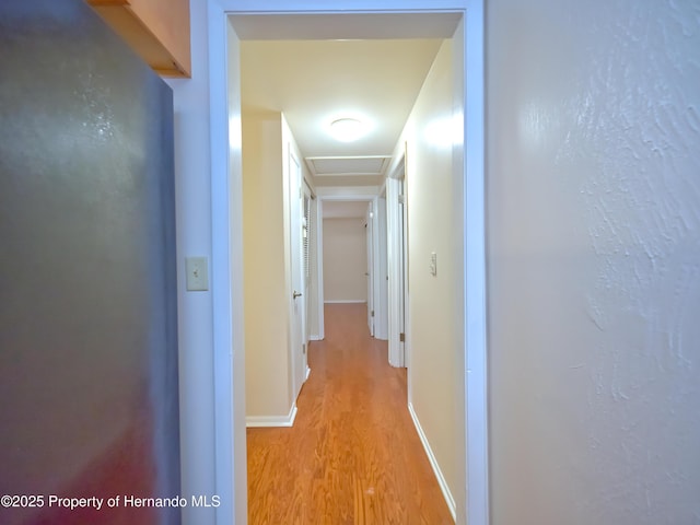 corridor with light hardwood / wood-style flooring