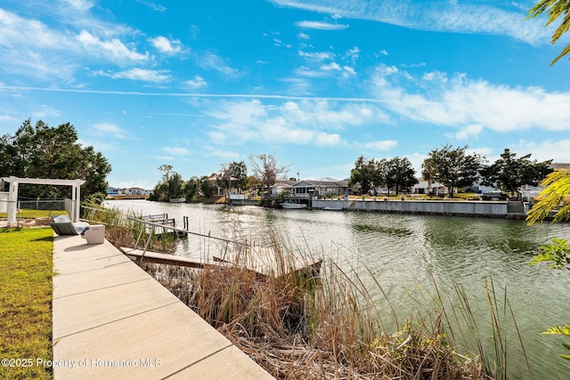 dock area with a water view