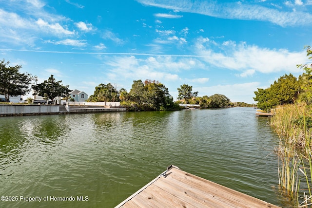 view of dock featuring a water view