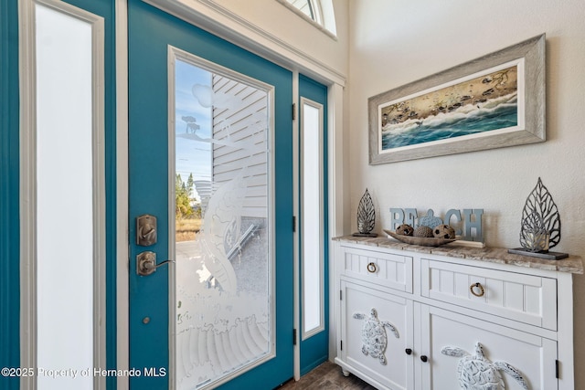 foyer entrance with a healthy amount of sunlight