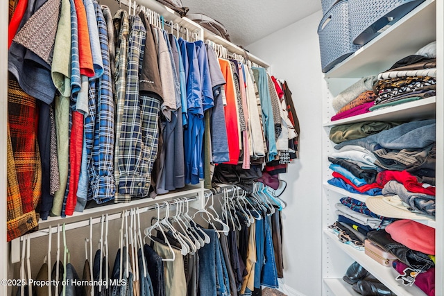 view of walk in closet