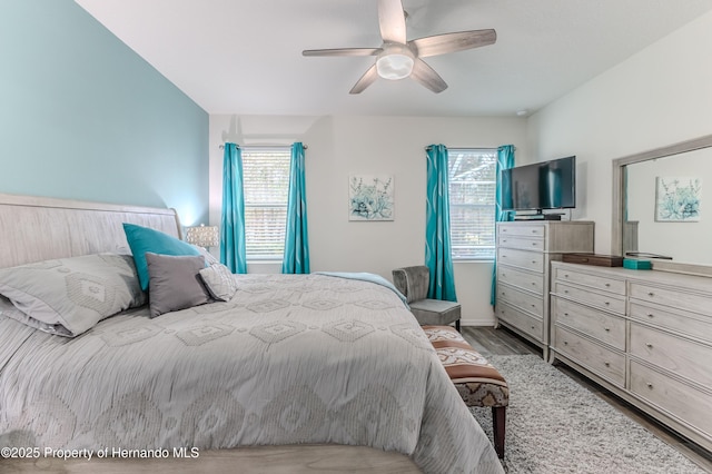 bedroom featuring multiple windows, light hardwood / wood-style floors, and ceiling fan