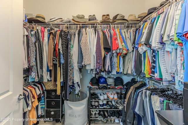 view of walk in closet