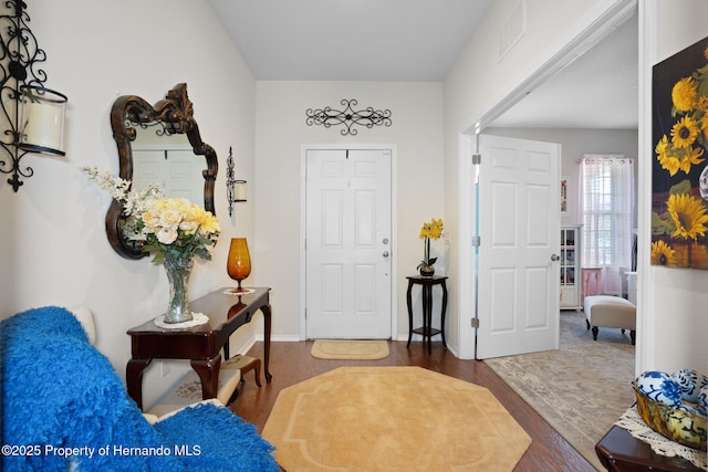 entryway featuring dark wood-type flooring