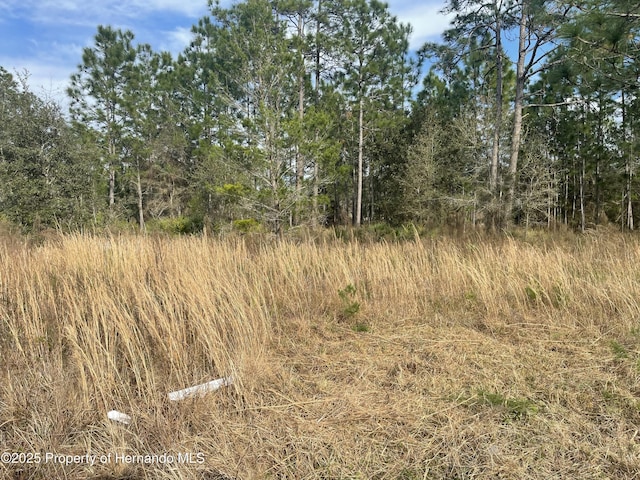 18061 Necklace Warbler Ave, Brooksville FL, 34614 land for sale