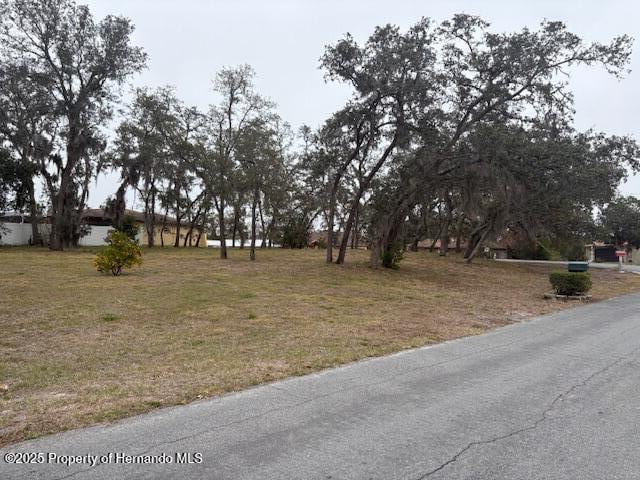0 Tyler Ave, Spring Hill, FL 34606 - photo 1