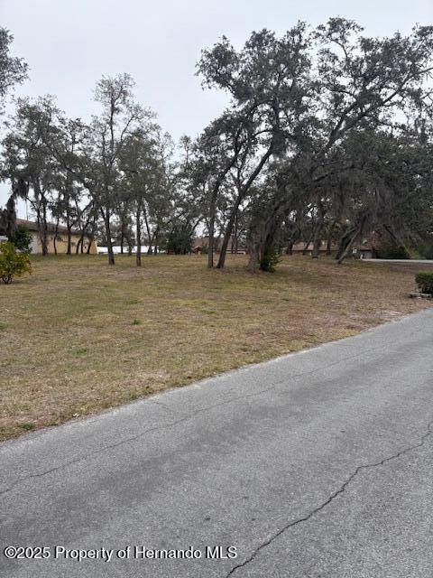 0 Tyler Ave, Spring Hill, FL 34606 - photo 2