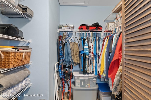 view of spacious closet