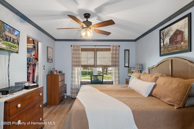 bedroom with crown molding, a closet, ceiling fan, and light wood-type flooring