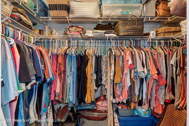 view of spacious closet