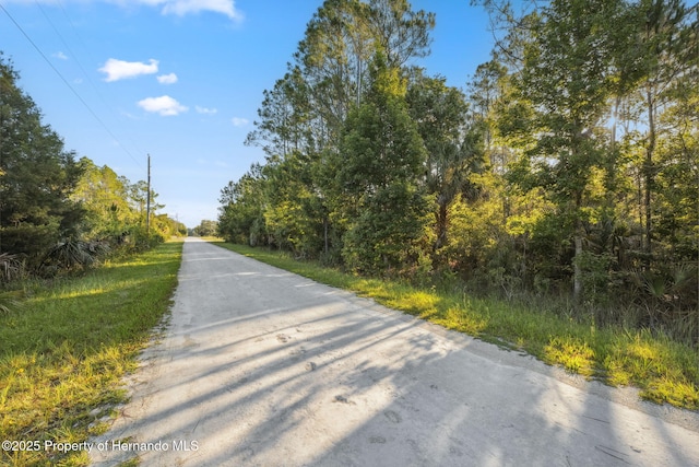 0 Yellowthroat Ave, Weeki Wachee, FL 34614