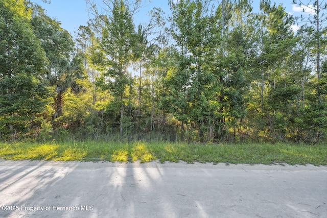 0 Yellowthroat Ave, Weeki Wachee, FL 34614