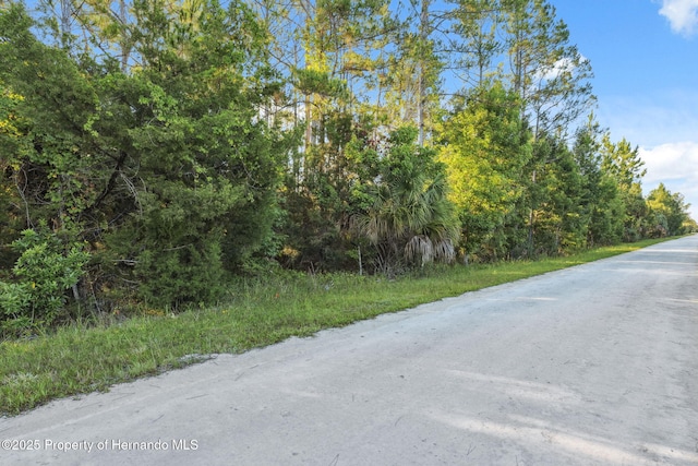 0 Yellowthroat Ave, Weeki Wachee, FL 34614