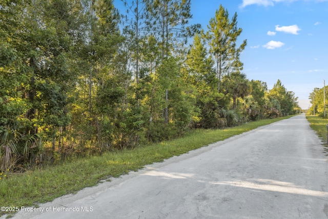 0 Yellowthroat Ave, Weeki Wachee, FL 34614