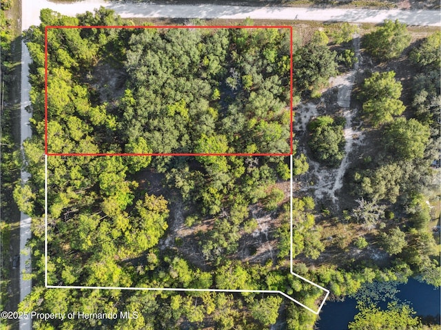 0 Yellowthroat Ave, Weeki Wachee, FL 34614