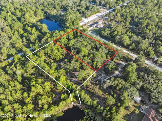 0 Yellowthroat Ave, Weeki Wachee, FL 34614