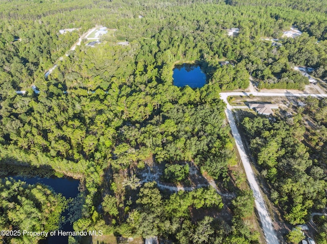 0 Yellowthroat Ave, Weeki Wachee, FL 34614