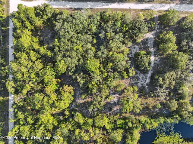 0 Yellowthroat Ave, Weeki Wachee, FL 34614